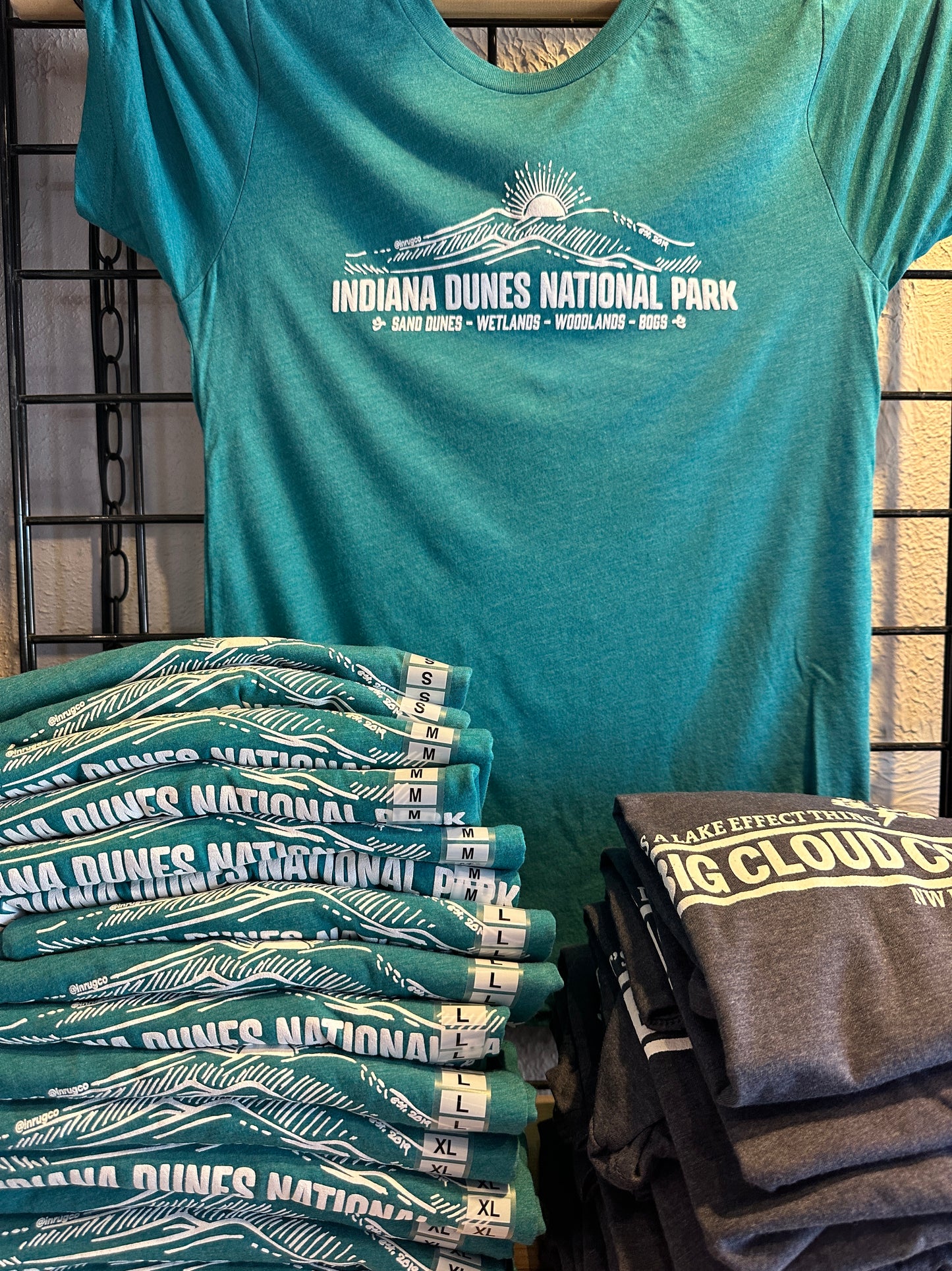 indiana dunes shirt sand dunes wetlands bogs inrugco