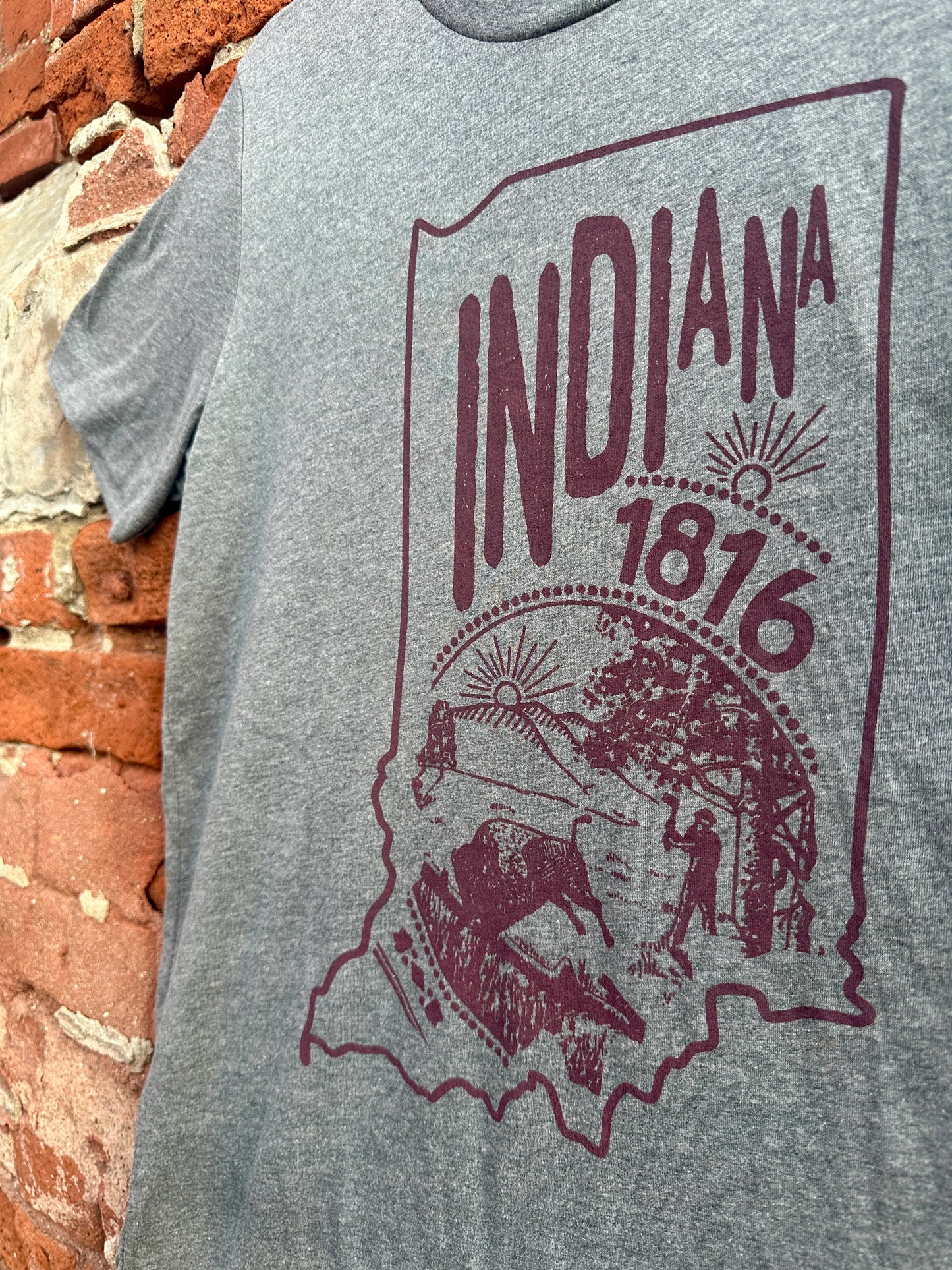 indiana state seal shirt