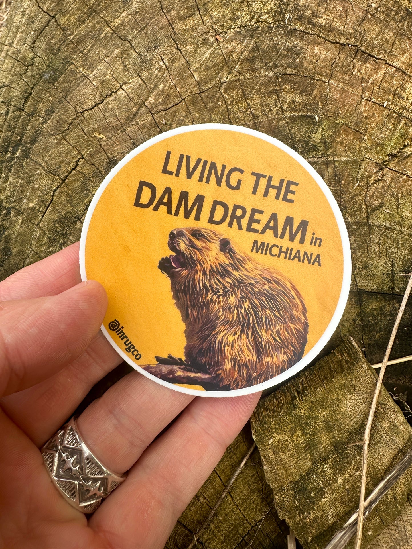 living-the-dam-dream-in-michiana-sticker