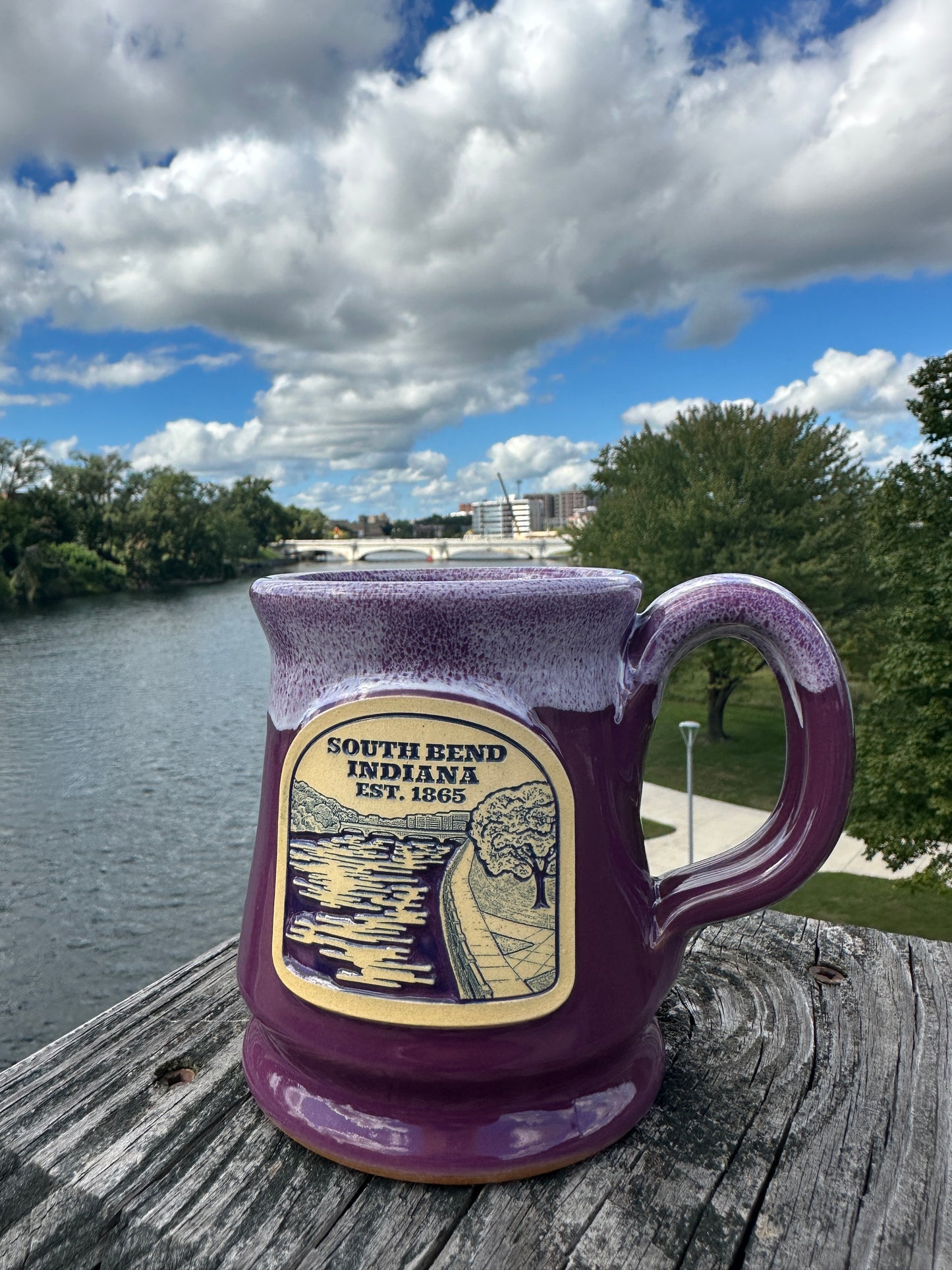 south bend indiana Howard park mug