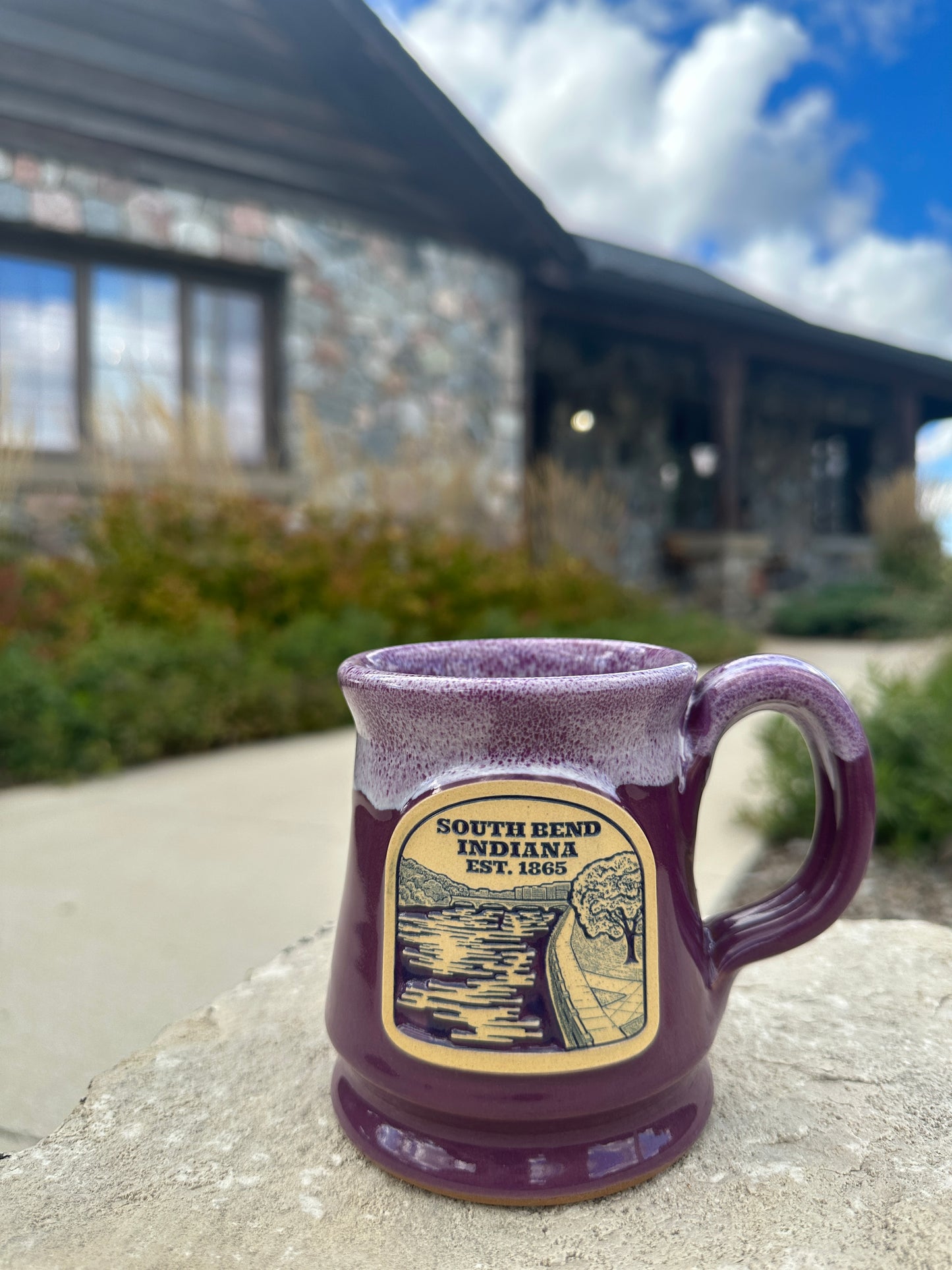 south bend indiana mug purple