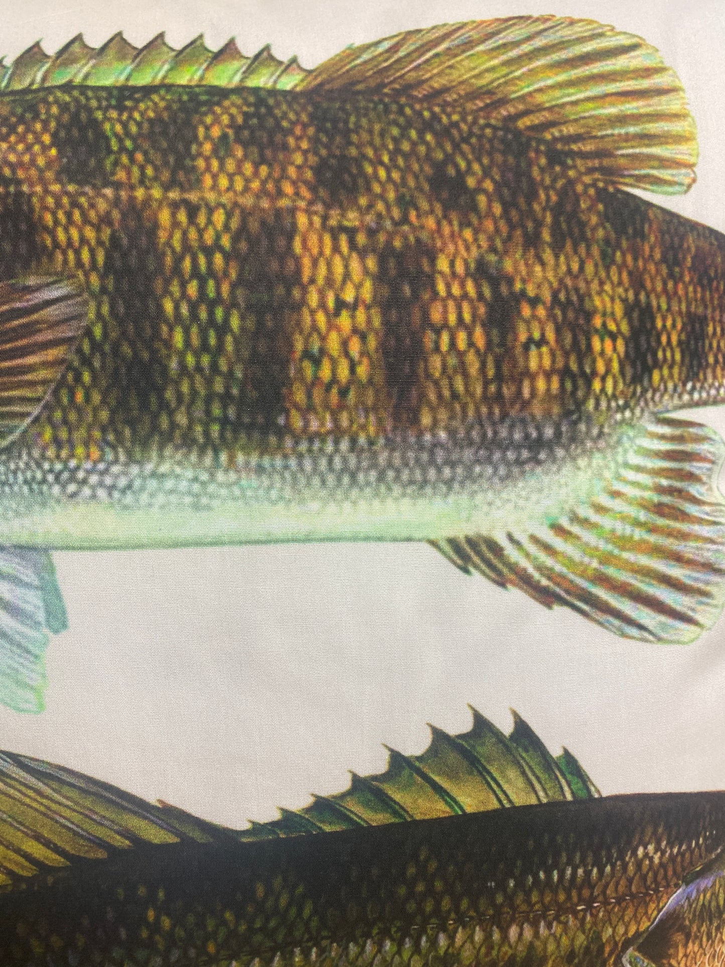 big fish fabric pillows inrugco