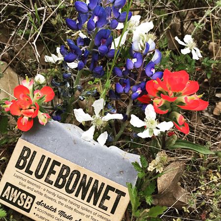 bluebonnet soap