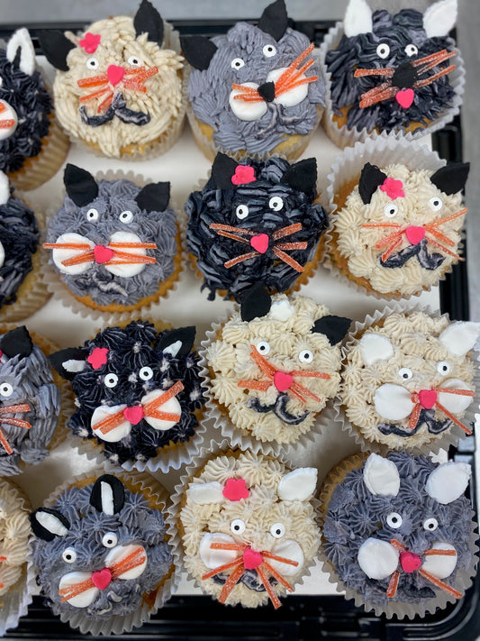 cat cupcakes mishawaka in
