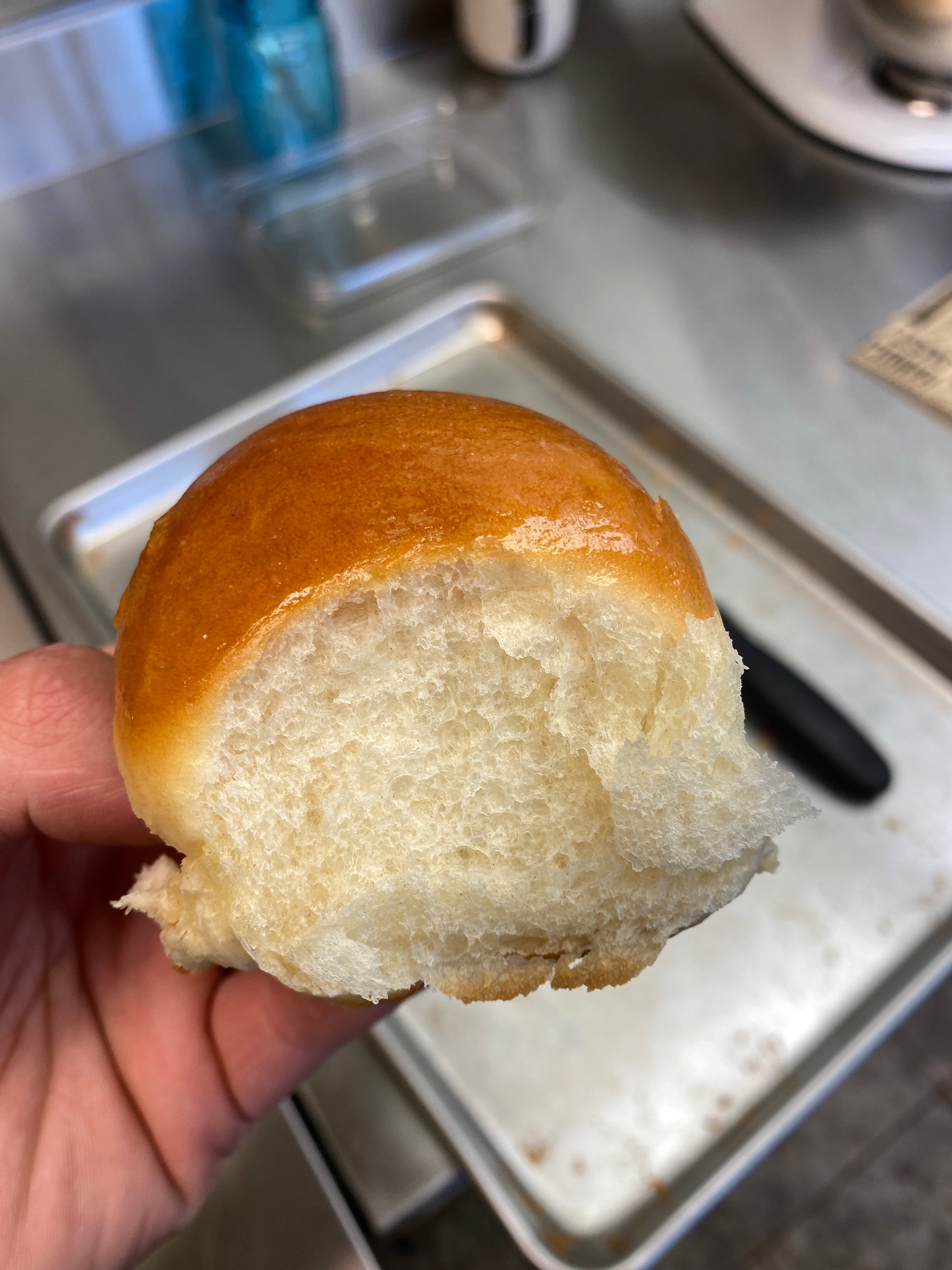 dans buns dinner roll lola pbj