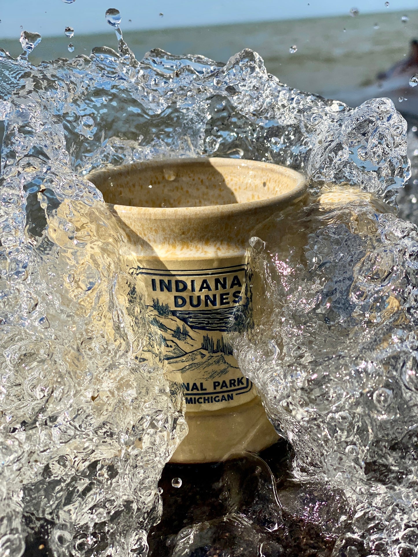 indiana dunes national lakeshore mug