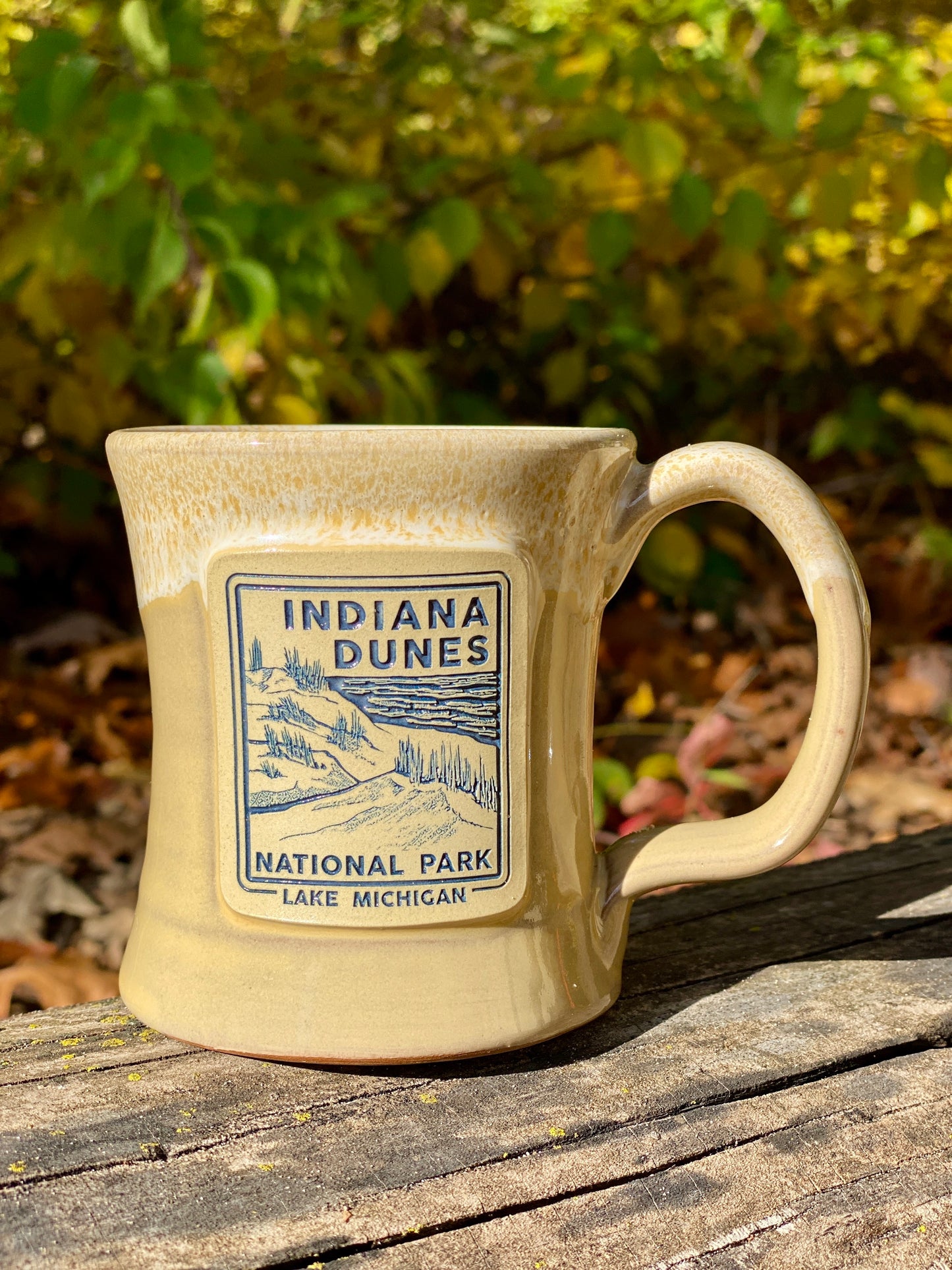 indiana dunes national park beer mug