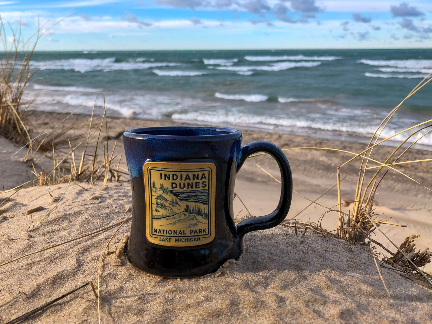 indiana dunes national park mug night sky