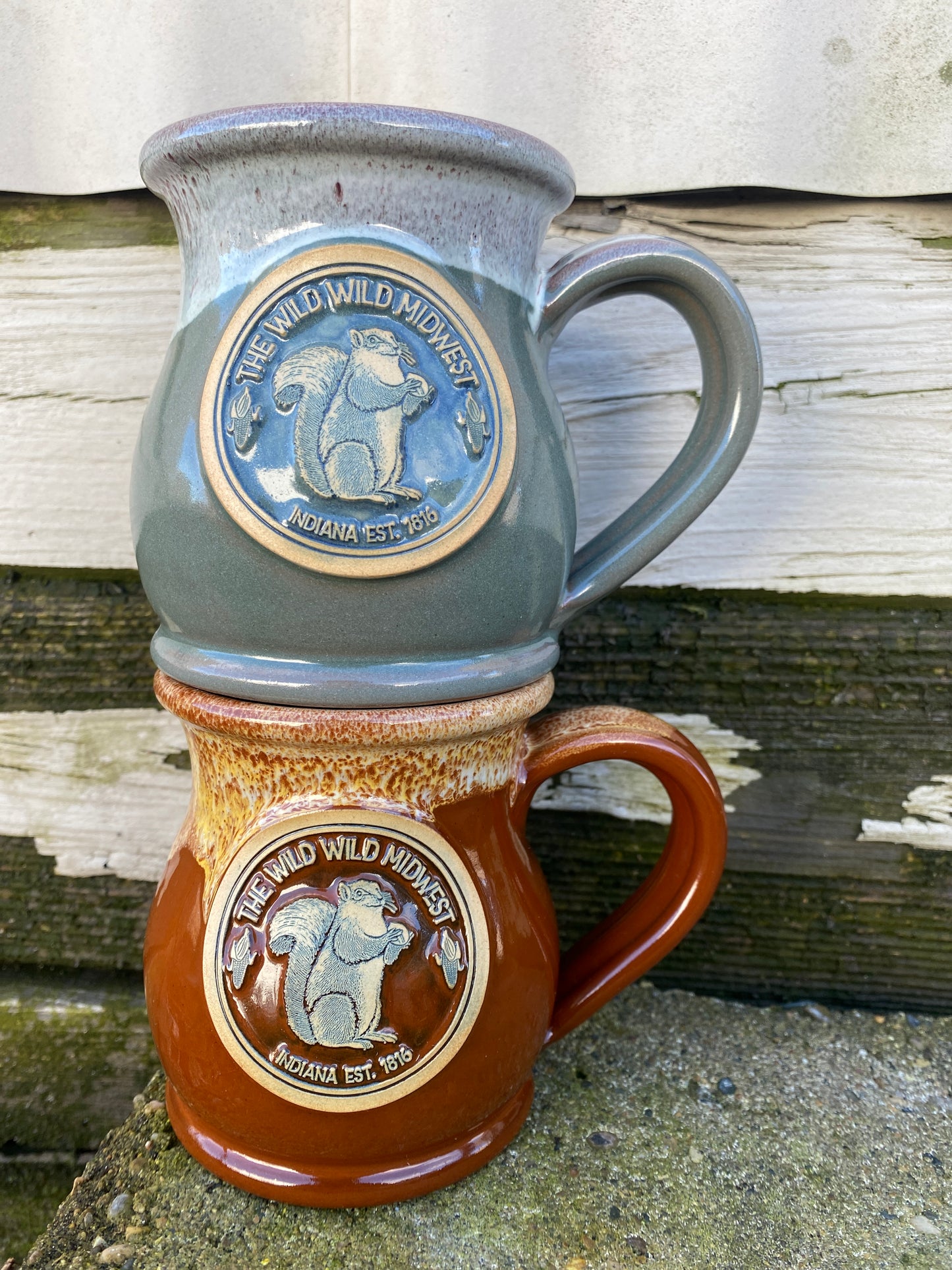 squirrel mugs inrugco