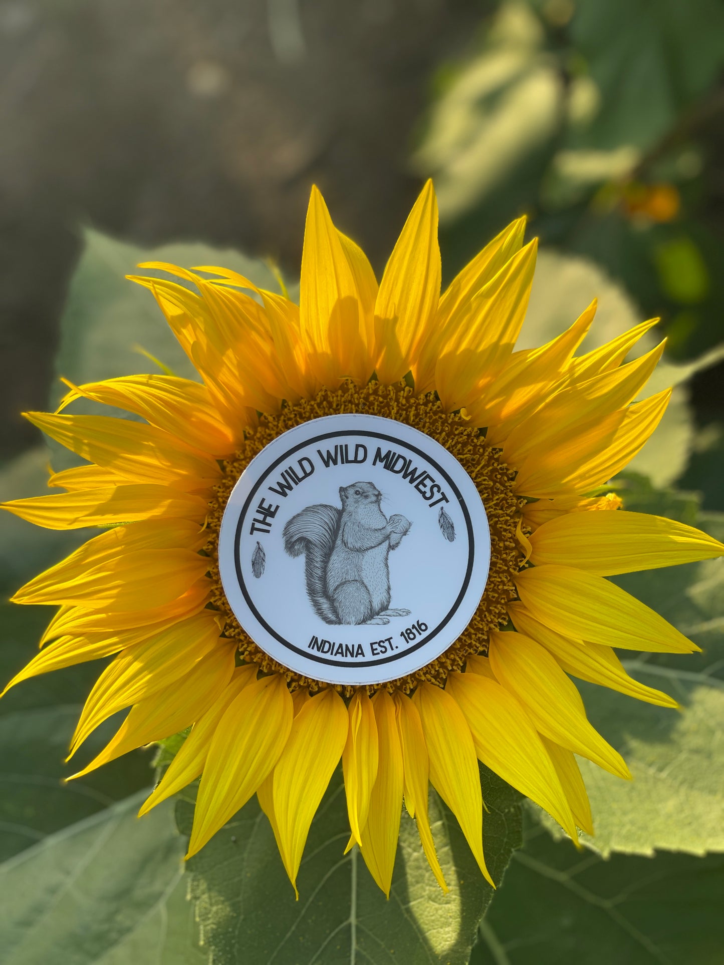 the wild wild midwest indiana sticker
