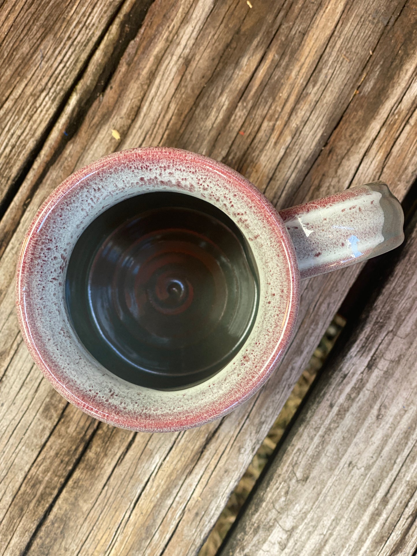 the wild wild midwest squirrel mug