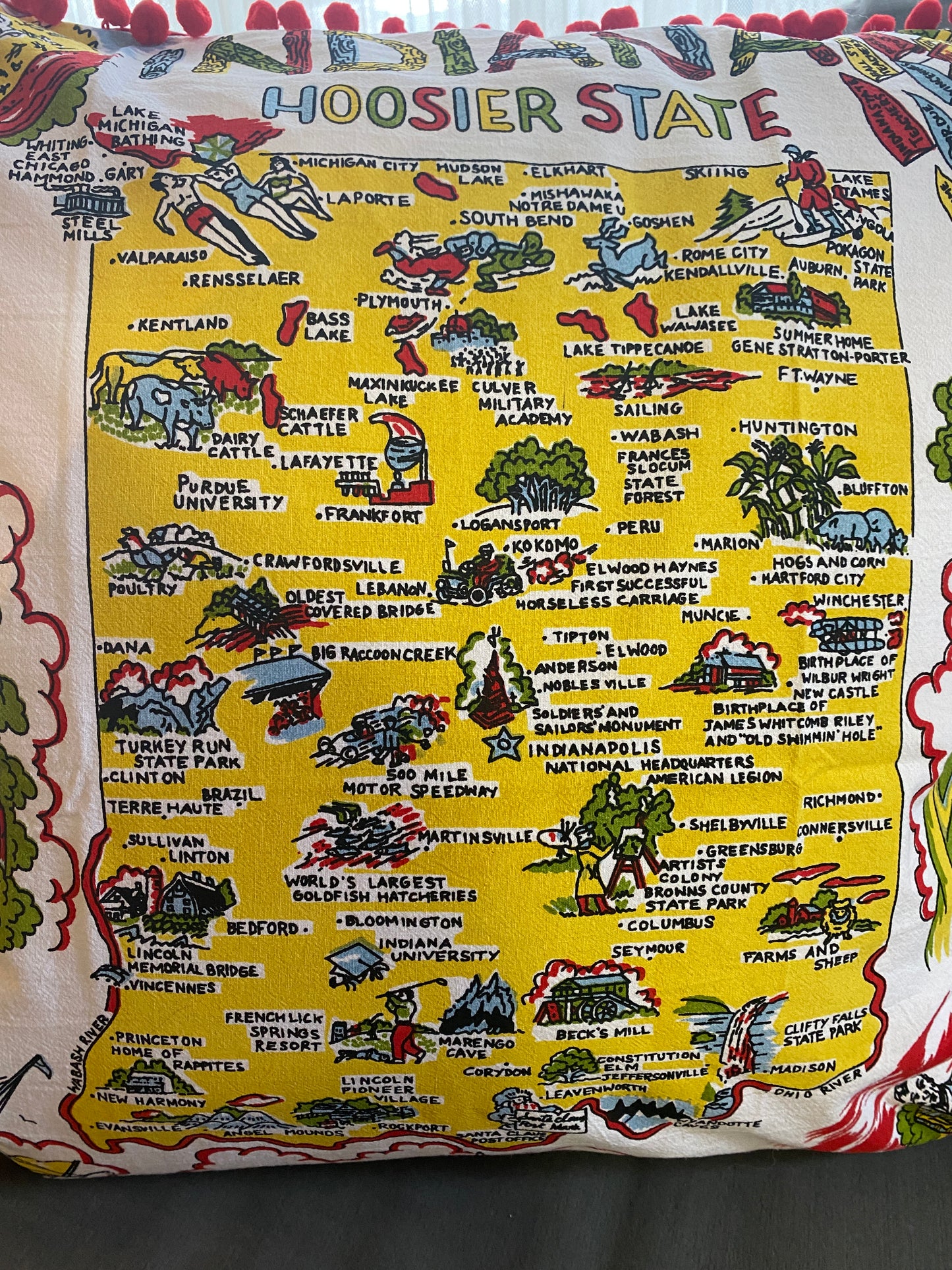 vintage indiana pillow