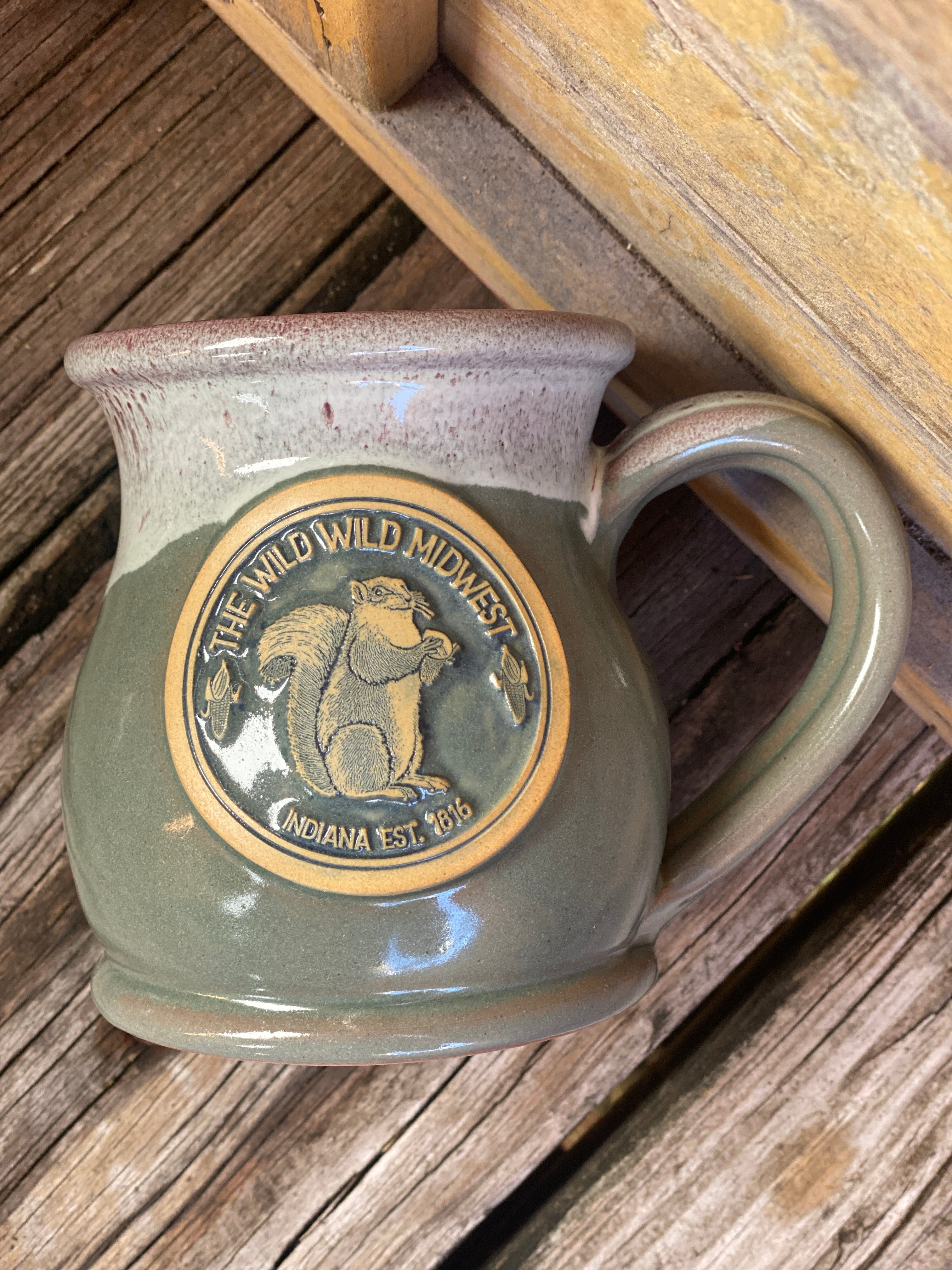 Tazza Umoristica Wild Wings 'This Place Is A Nut House' Con Scoiattolo – 453g, Microwavabile