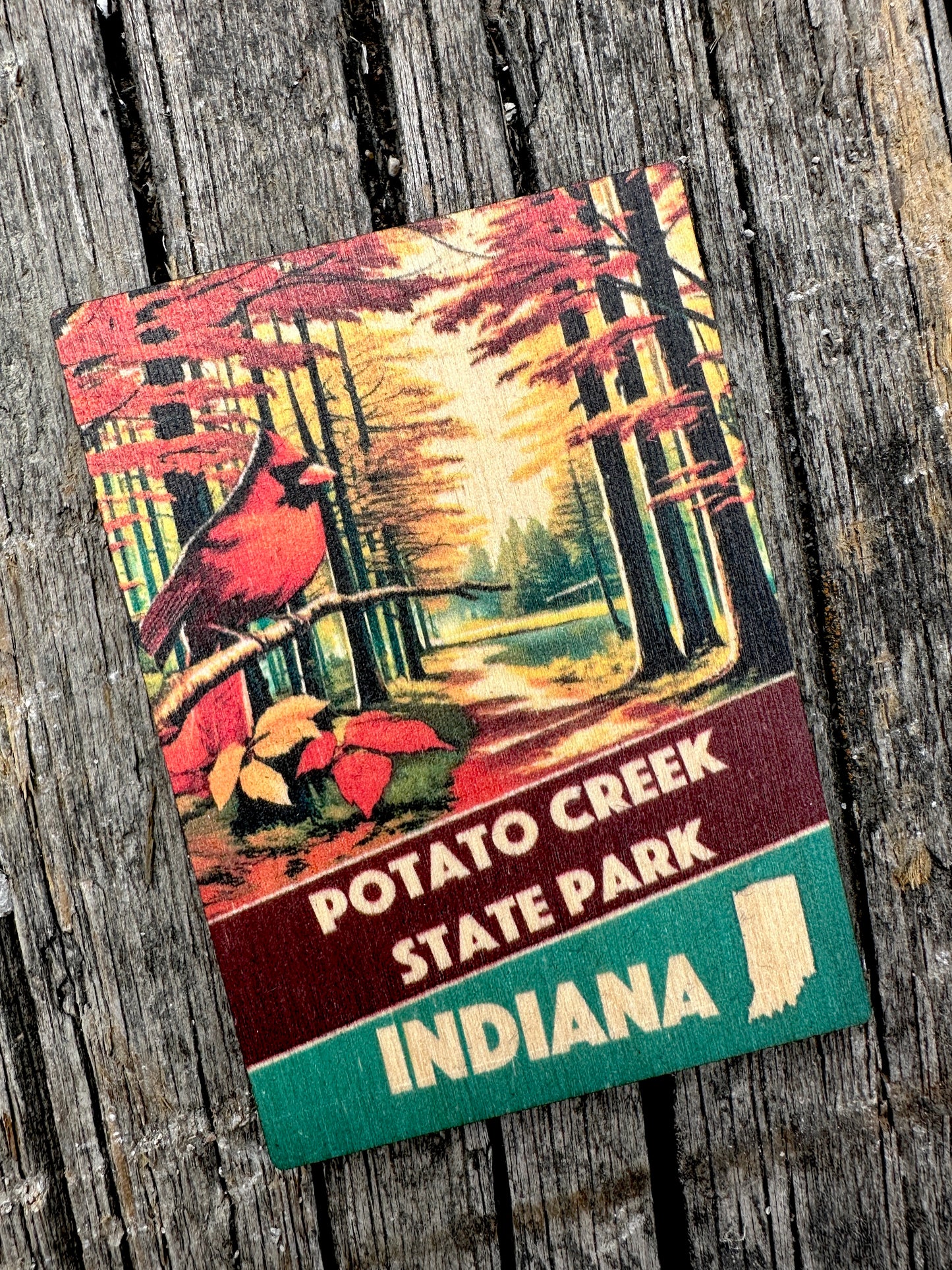 potato creek state park magnet