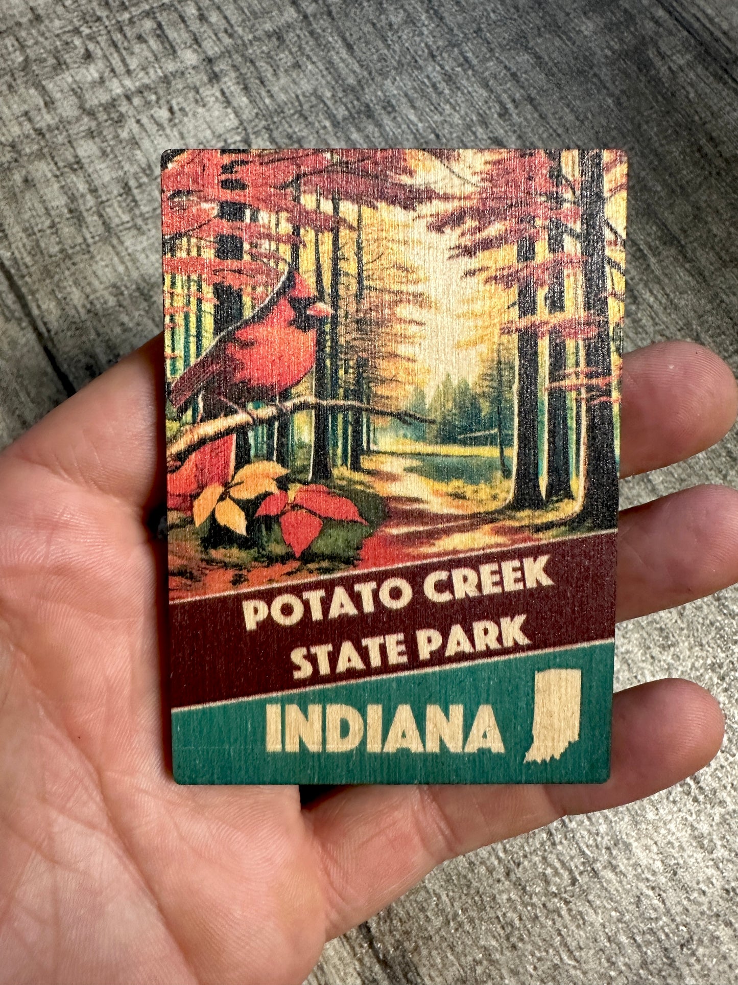 potato creek state park wood magnet