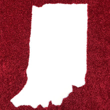 Load image into Gallery viewer, area rug indiana state shape
