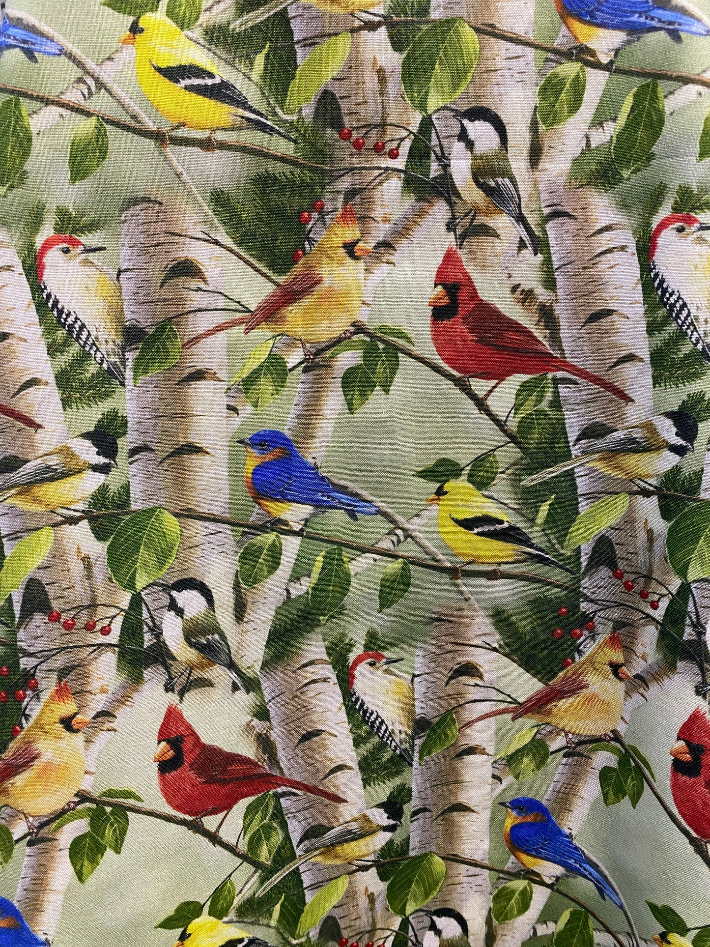 birds apron