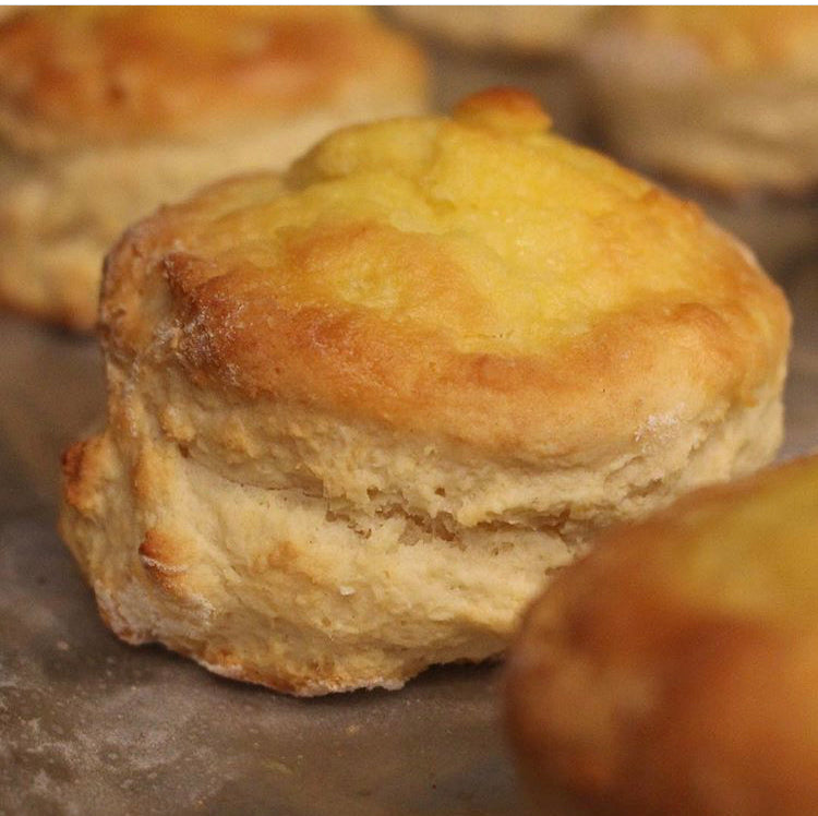 Sea Salt & Buttermilk Biscuit Mix | Forage South - InRugCo Studio & Gift Shop