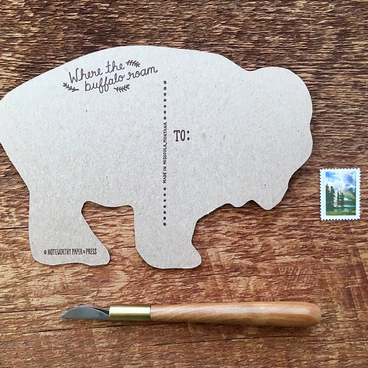 bison postcard noteworthy