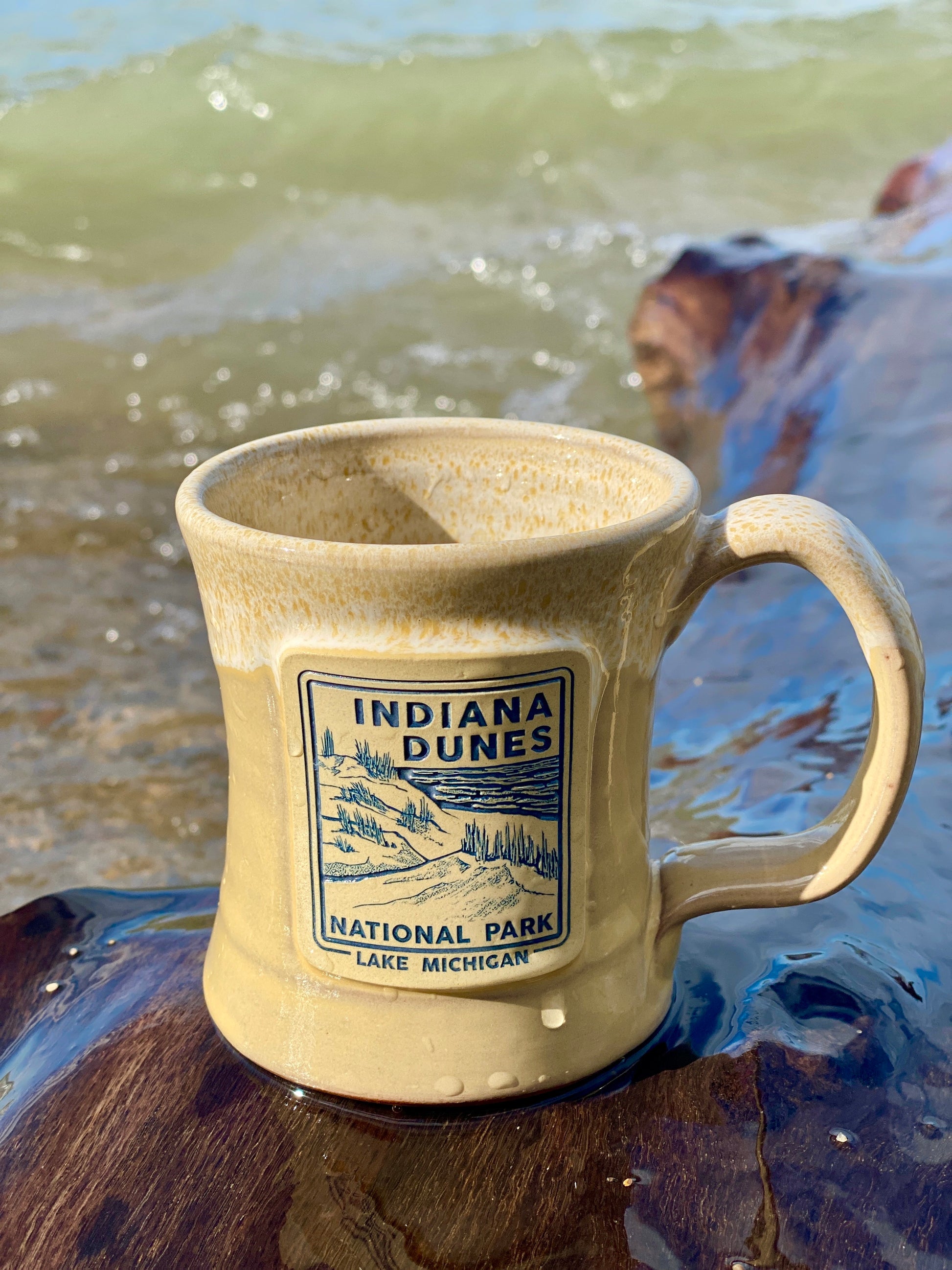 indiana dunes Lake Michigan beer mug