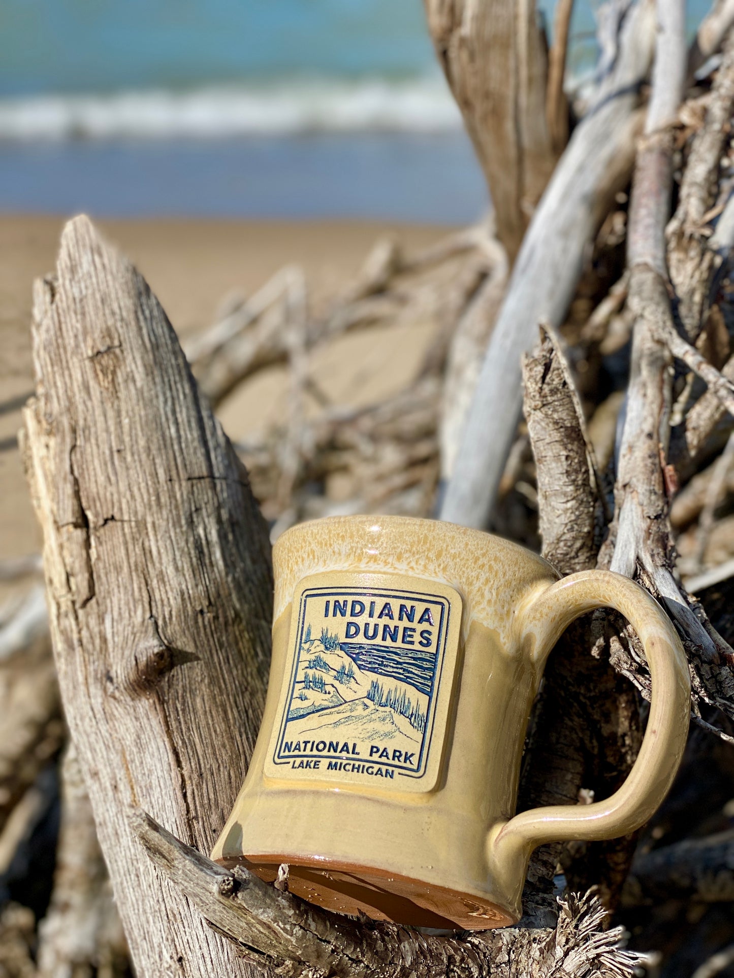 indiana dunes Lake Michigan coffee mug