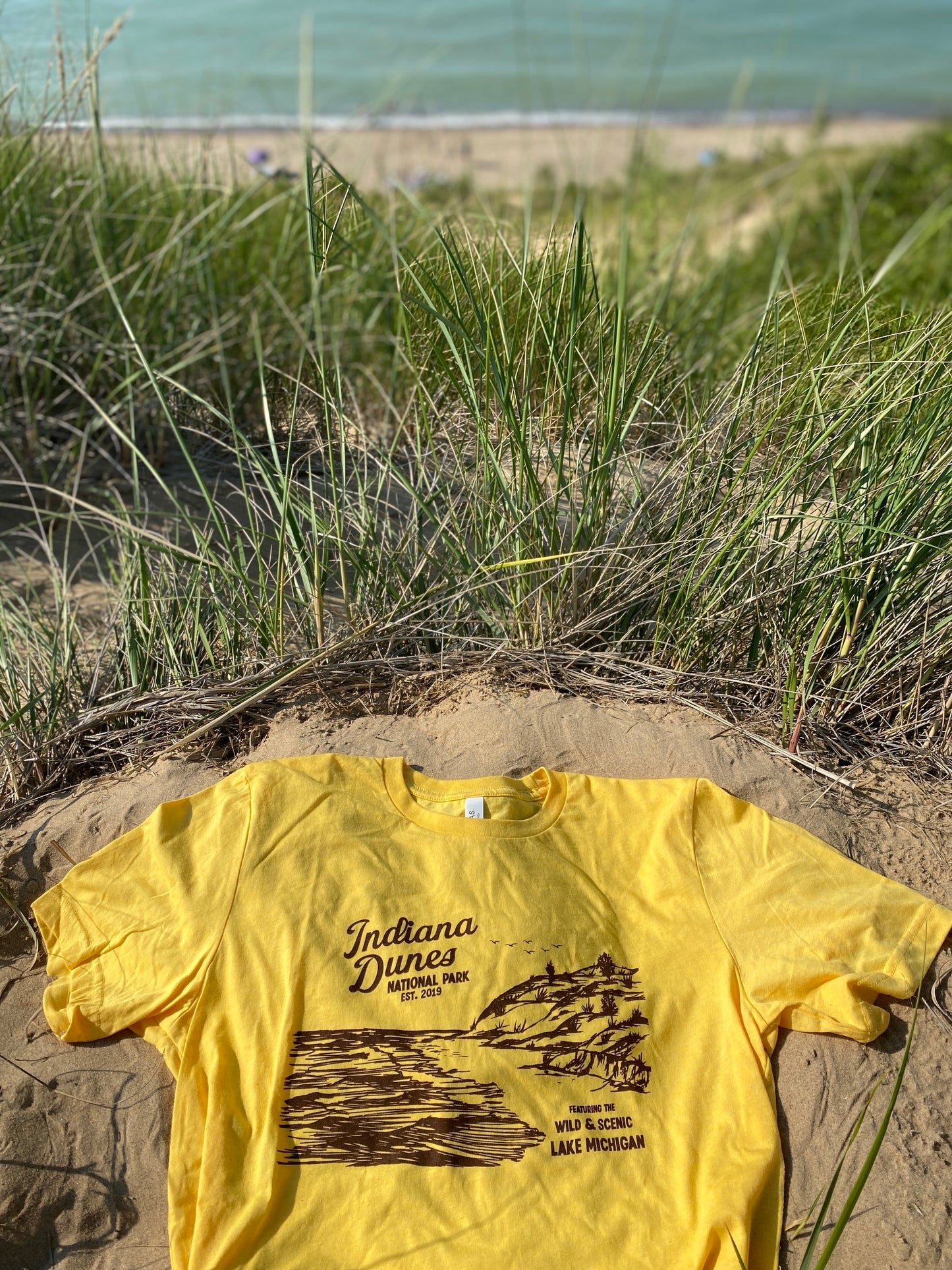 indiana dunes national park t-shirt yellow