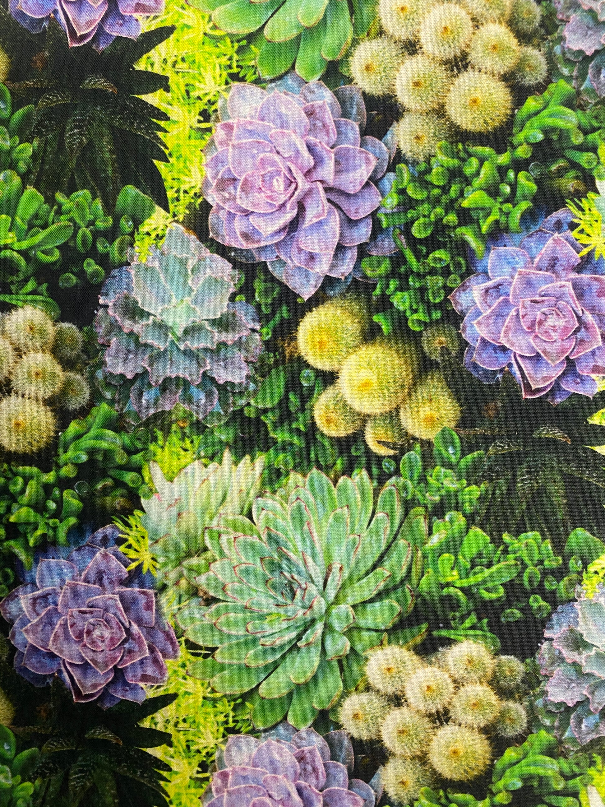 succulent tote bag Succulents | Market Bag - Tote